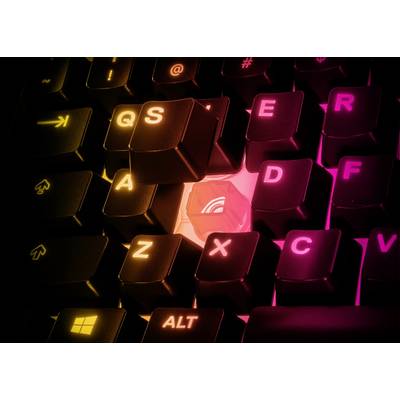 Apex, clavier gaming le plus rapide au monde, est disponible