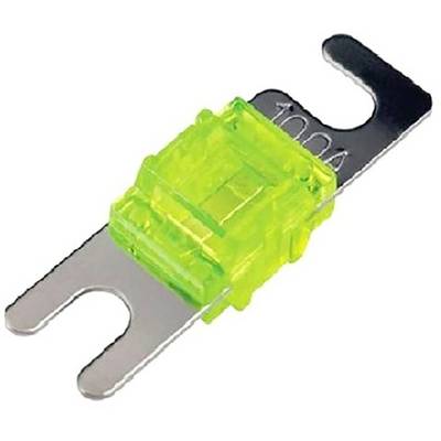 Un fusible plat de 10 ampères de couleur verte avec un contact métallique sur un fond blanc.