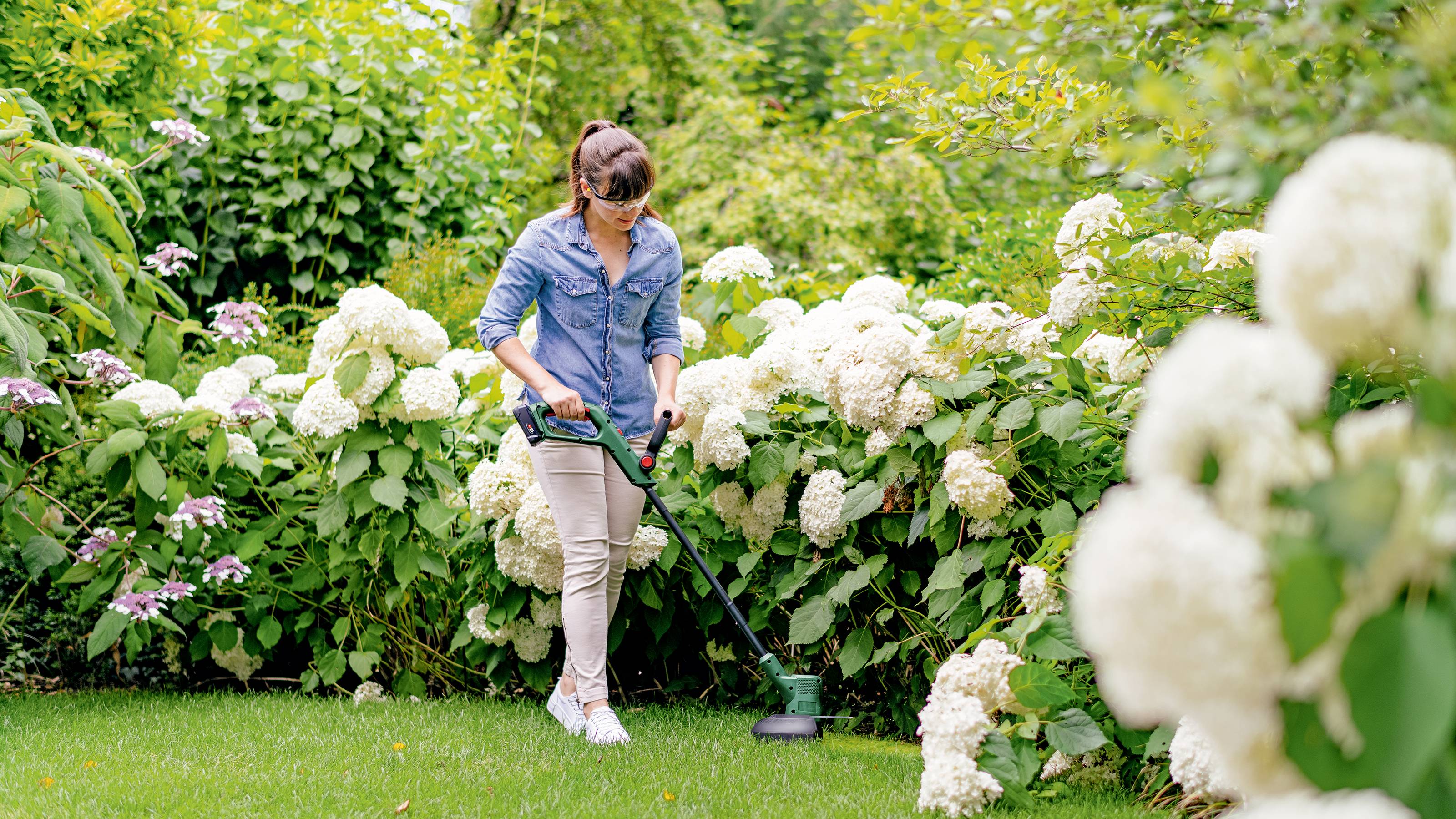 Une femme tond la pelouse avec un taille-herbe électrique dans un jardin luxuriant, entourée de grands hortensias blancs.