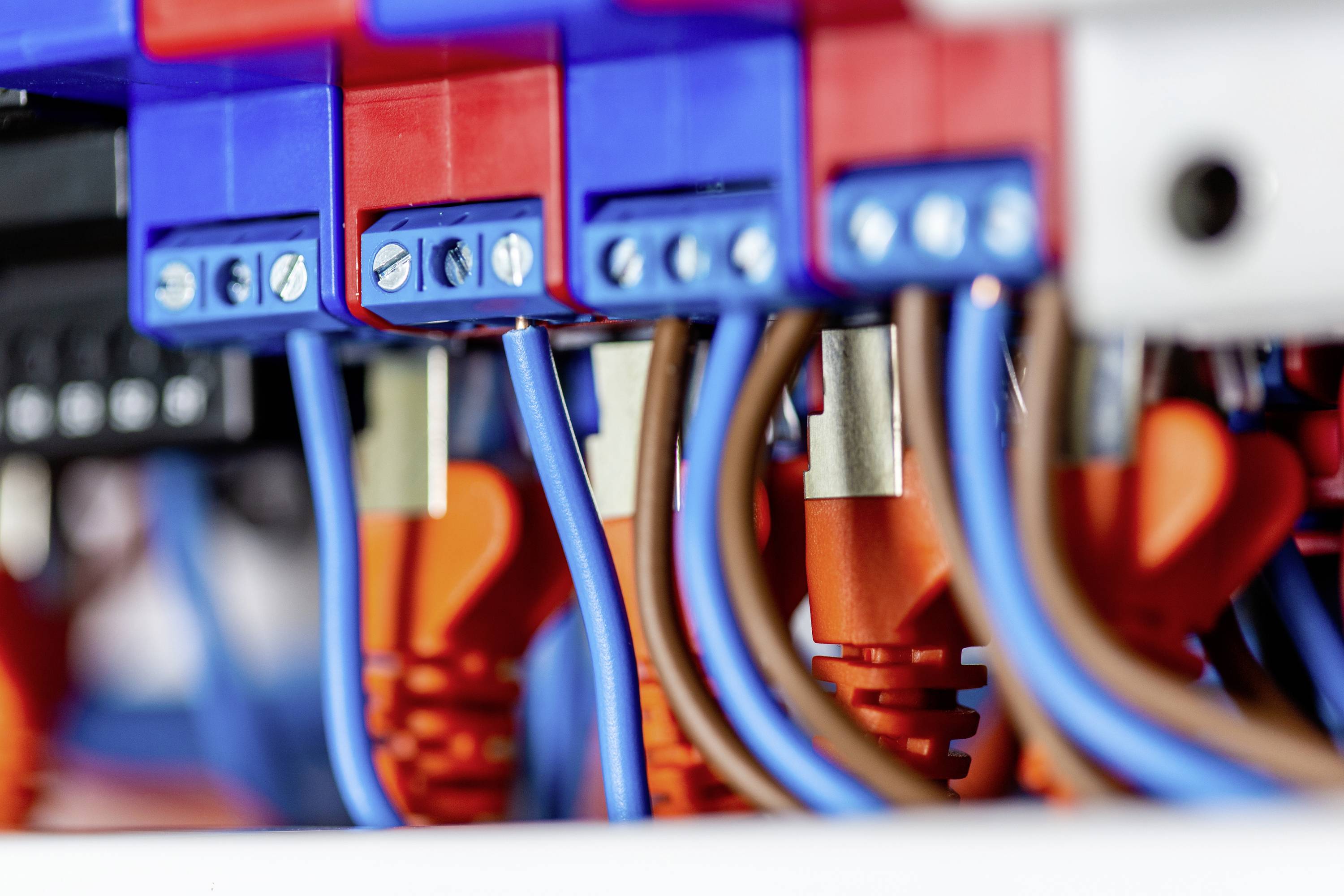 Gros plan de câbles électriques et de connexions en bleu, rouge et orange, raccordés dans un tableau de distribution.