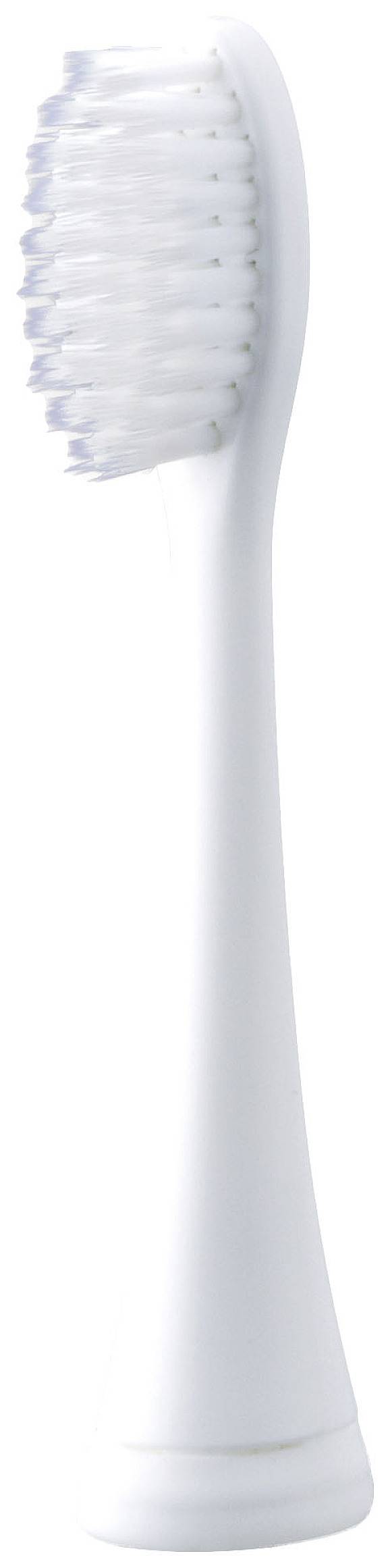 Embout de brosse à dents blanc aux poils souples, disposé verticalement.