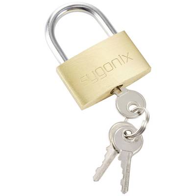 Cadenas en métal avec inscription gravée 'sygonix'. Deux clés argentées sont suspendues au cadenas.