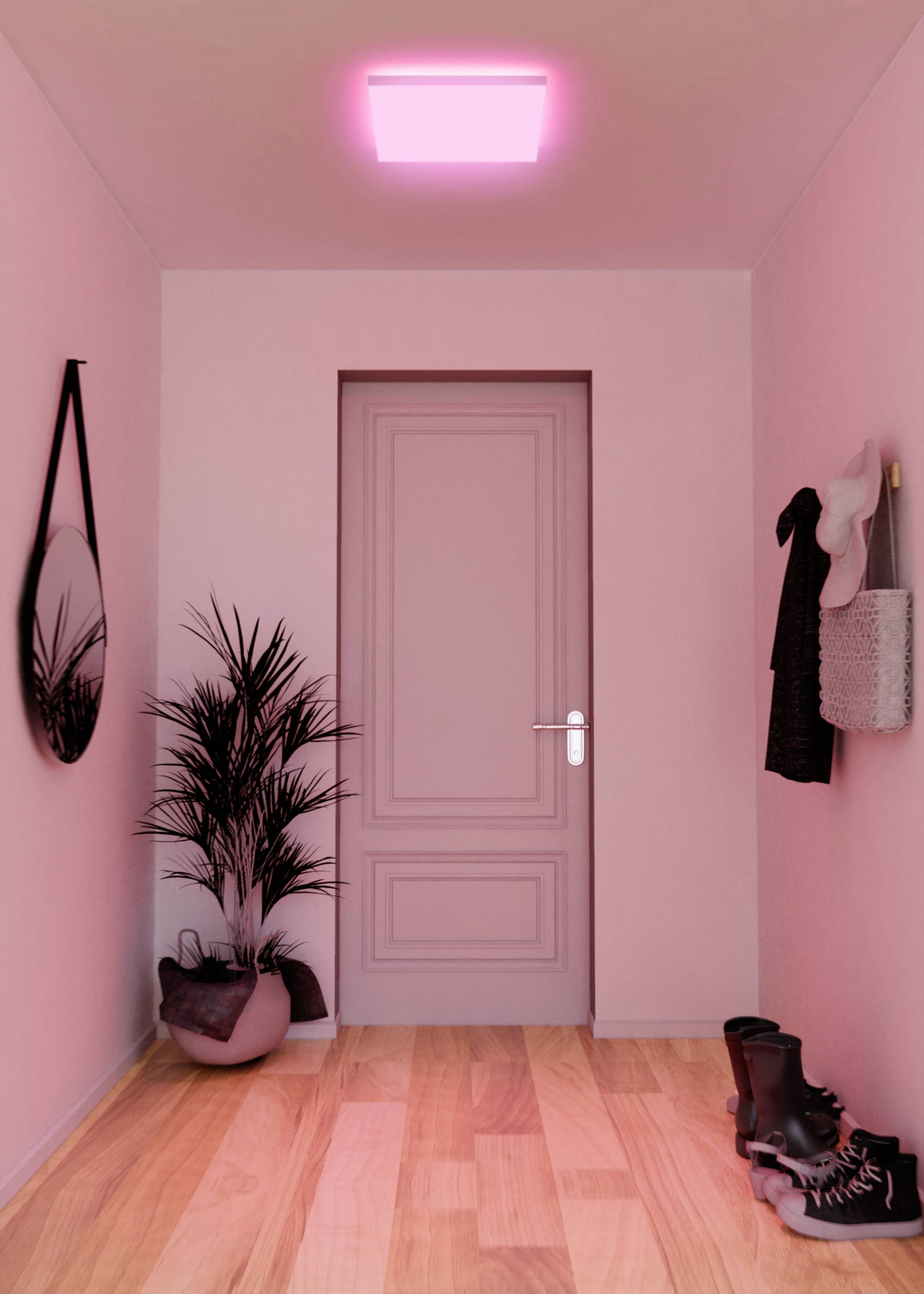 Un couloir étroit en rose avec un parquet en bois, une porte fermée, un miroir rond, des plantes et des chaussures sur le côté.