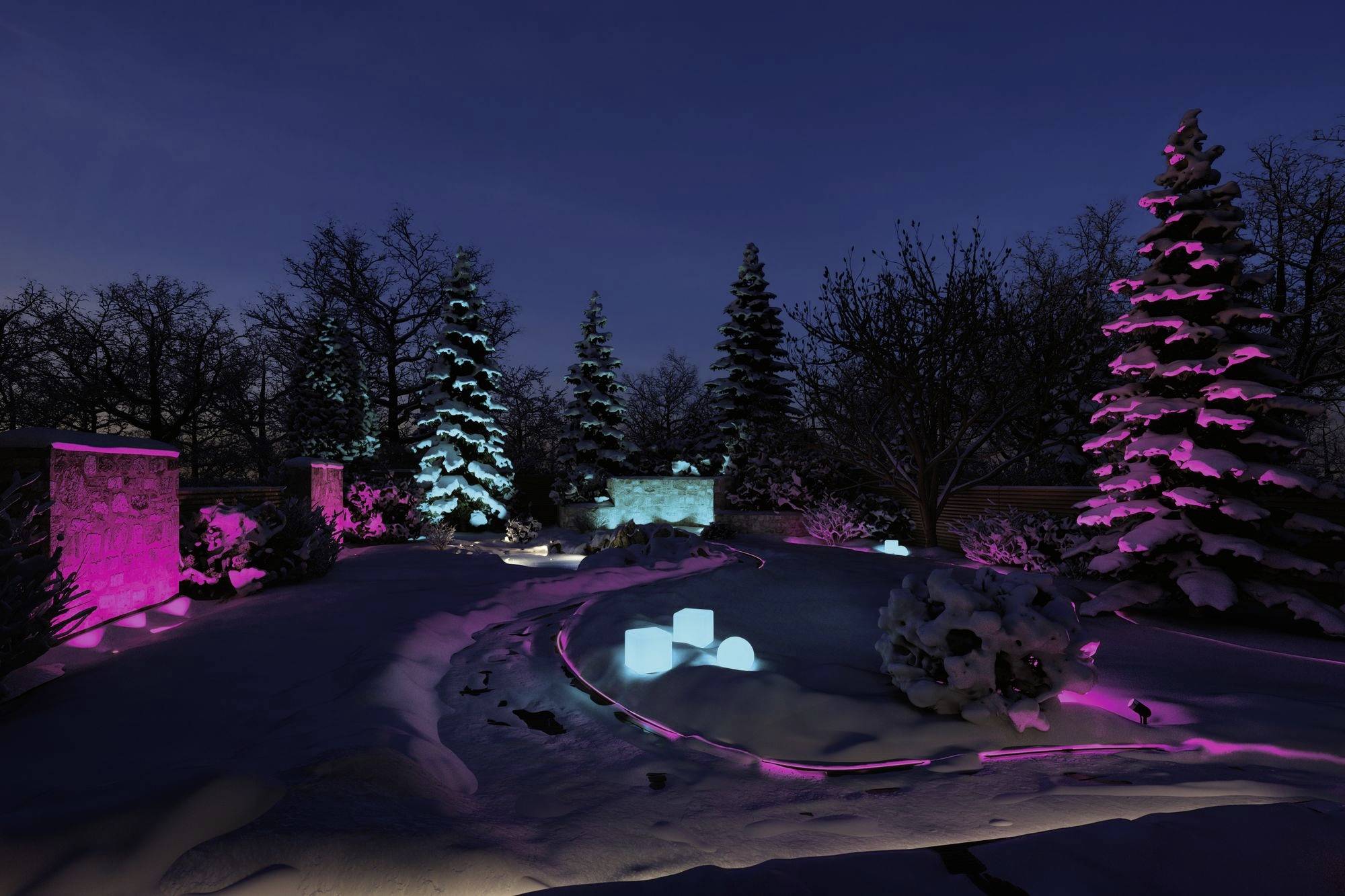 Un jardin enneigé la nuit, illuminé de lumières roses et bleues, accentuant les arbres et les chemins.