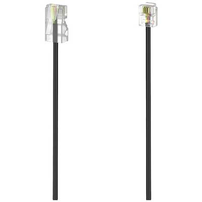 Deux câbles téléphoniques noirs avec des fiches transparentes montrant les fils intérieurs, sur un fond blanc.