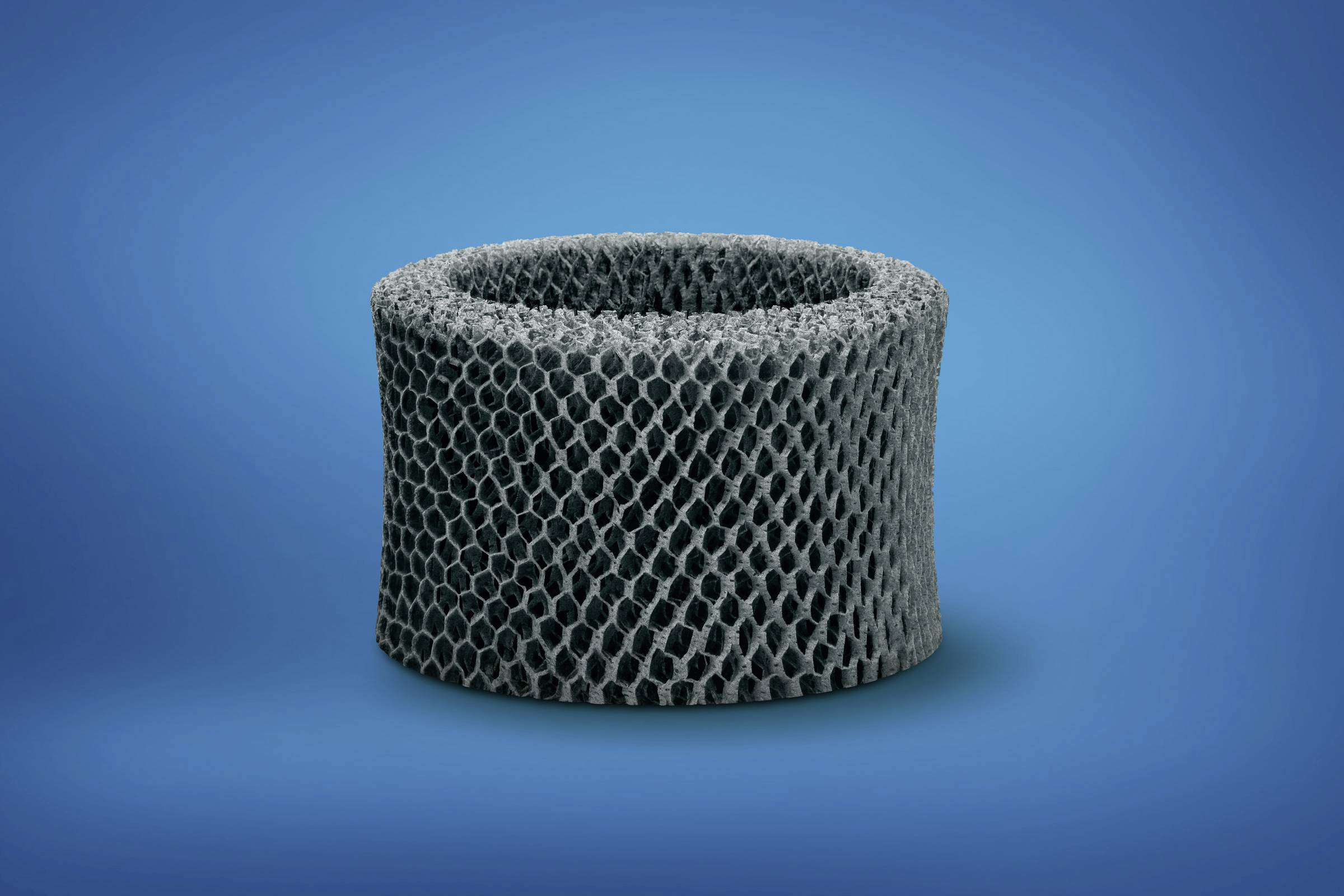 Un objet cylindrique et spongieux sur un fond bleu. La surface présente un motif en nid d'abeille.