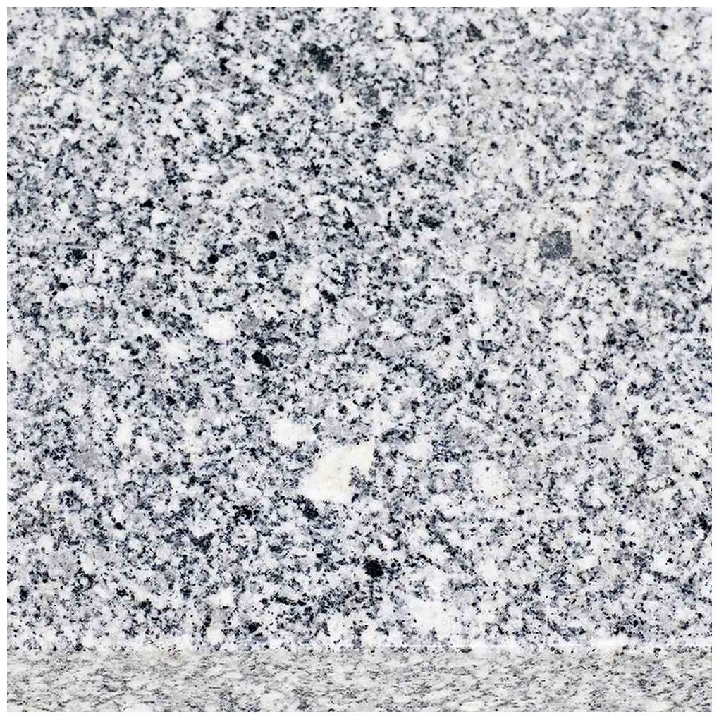 Un gros plan d'une surface de granit révélant une texture gris-blanc avec des motifs noirs.