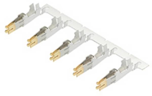 Molex Contact à sertir 428150011 1 pc(s)