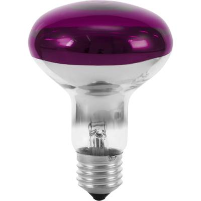 Eurolite 9210440U Ampoule halogène  E27 réflecteur 60 W violet (Ø x L) 80 mm x 110 mm  1 pc(s)