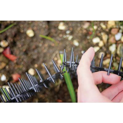 Une main tient une bande de plastique noir avec des picots au-dessus d'un fond terreux. Pourrait servir à repousser les animaux dans un jardin.