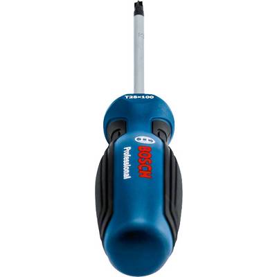 Tournevis bleu avec logo 'BOSCH' sur la poignée. Adapté aux vis T25, long de 100 mm.