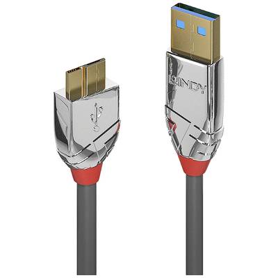 Câble USB avec des connecteurs argentés, le connecteur de gauche présente un symbole USB modifié, le connecteur de droite est mis en évidence en bleu.