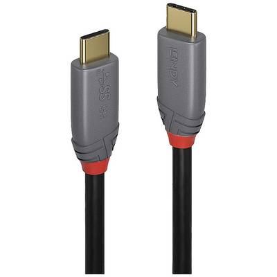 Un câble HDMI gris avec des accents rouges et des connecteurs dorés, portant la marque 'LINDY', montre ses deux extrémités.