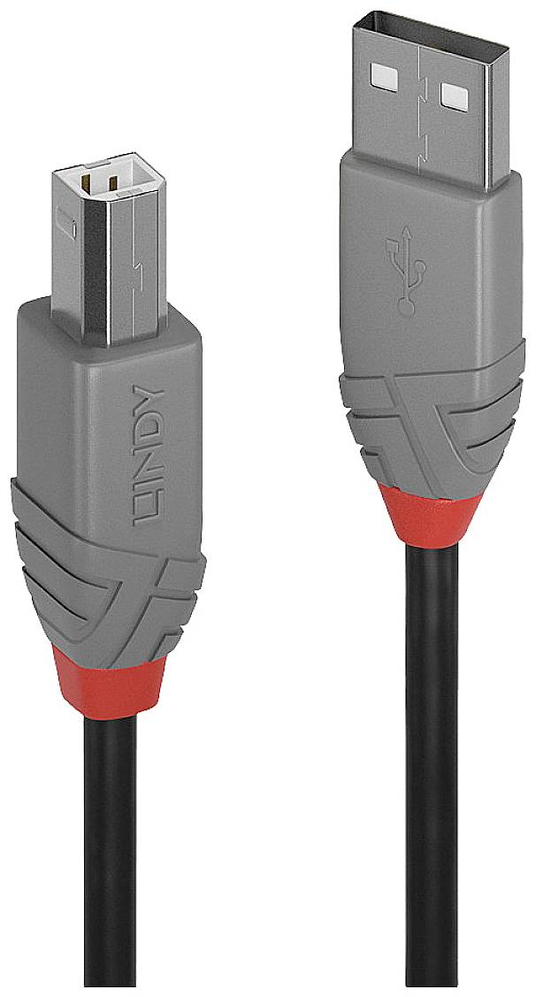 Deux fiches USB grises avec un accent rouge. À gauche, une fiche mini-USB, à droite, une fiche USB-A. Les deux sont marquées du nom 'Lindy'.