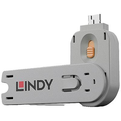 Clé USB Grauer Lindy avec mécanisme pivotant rotatif et interrupteur orange sur le dessus.