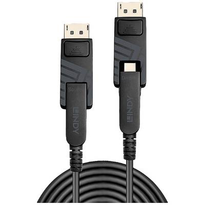 Câble DisplayPort avec deux fiches marquées 'Source' et 'Display', adapté pour des connexions audio et vidéo de haute qualité.