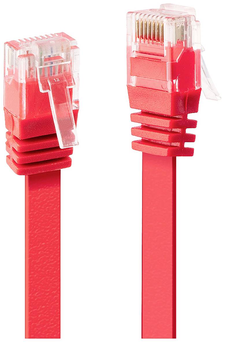 Deux câbles réseau rouges avec connecteurs RJ45, placés côte à côte. L'un est plat, l'autre ayant une forme conventionnelle.