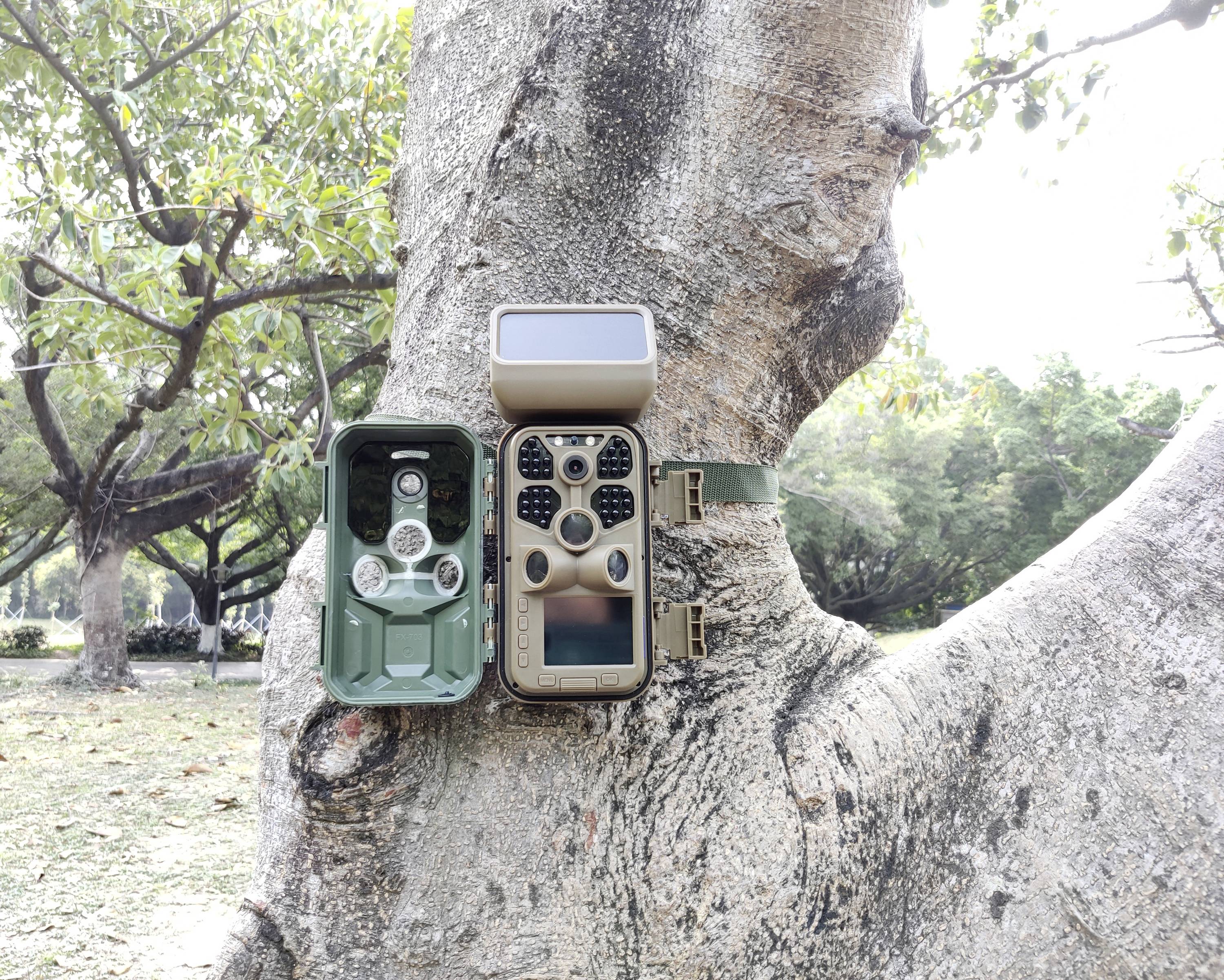 Une caméra de faune sauvage est fixée à un arbre. La caméra est ouverte et montre les batteries et l'objectif. Des arbres sont visibles en arrière-plan.