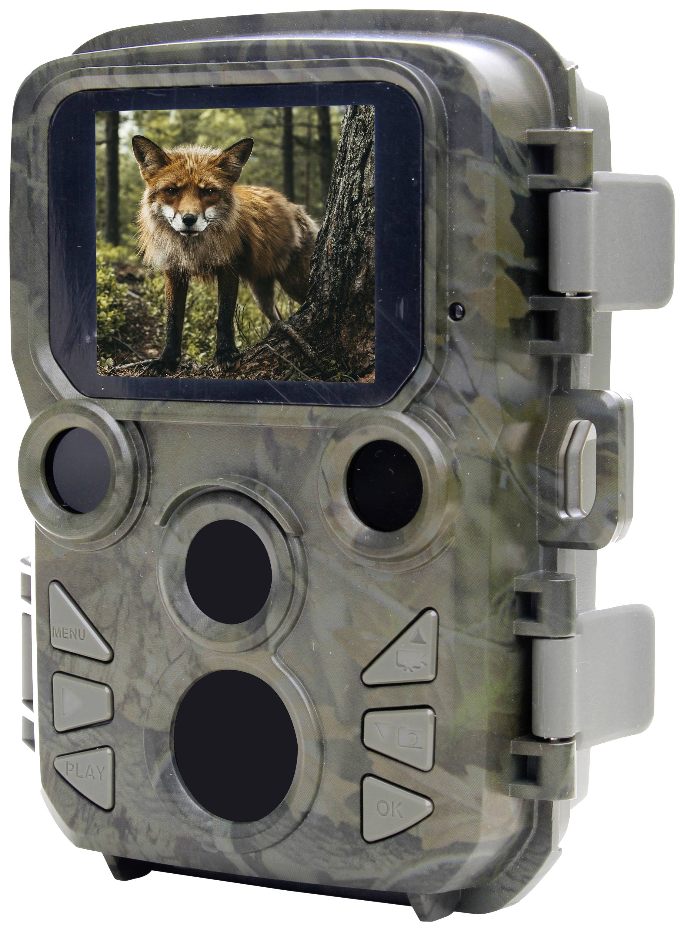 Caméra de chasse camouflée, montrant l'image d'un renard sur l'écran, debout dans la forêt.