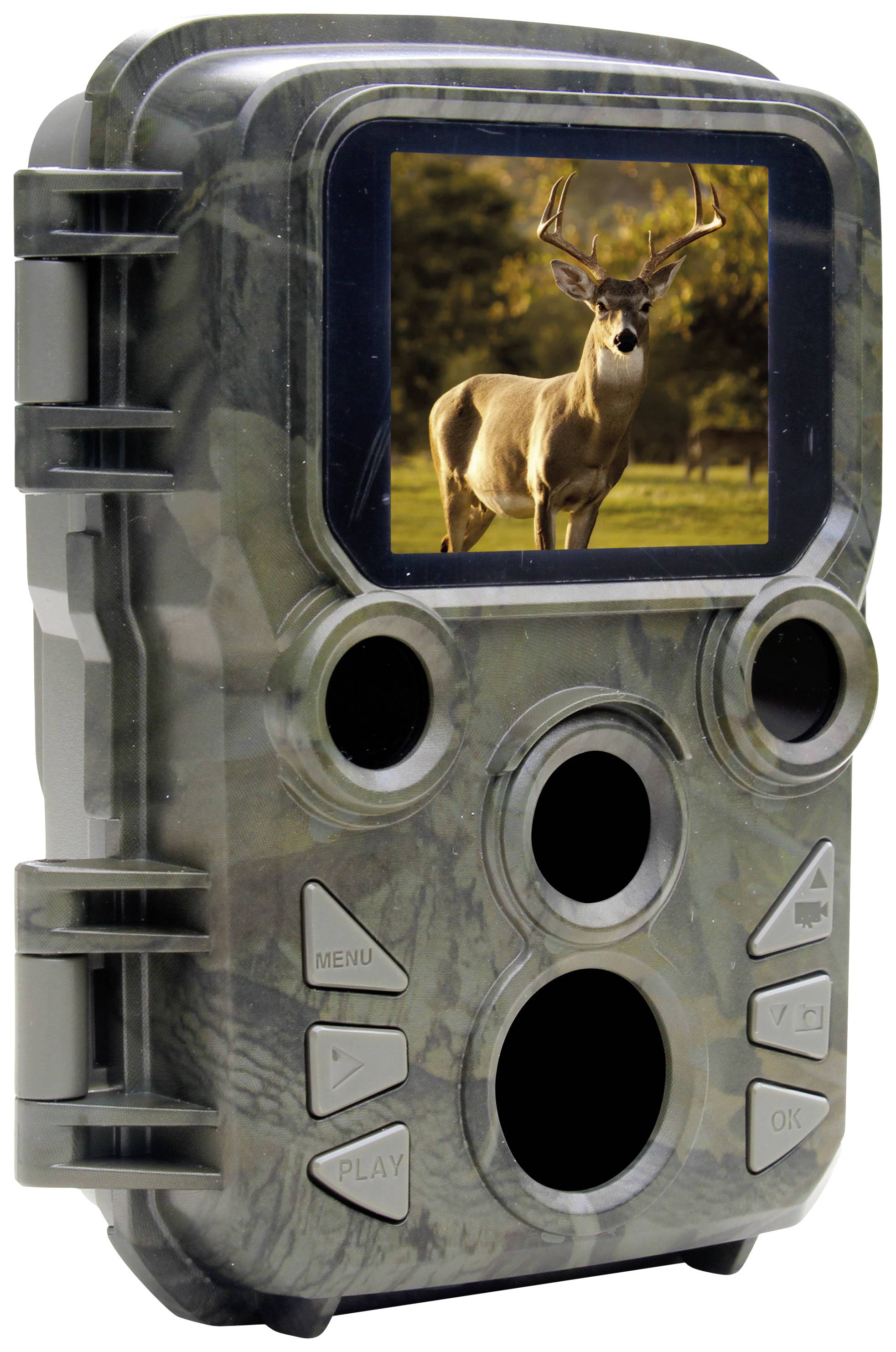 Caméra de chasse au boîtier camouflé affichant sur l'écran une photo de cerf avec de grands bois dans la forêt en plein jour.