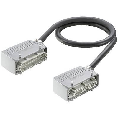 Un connecteur industriel gris avec un câble noir et deux connecteurs rectangulaires de Weidmüller pour des applications électriques.