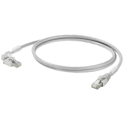 Un câble Ethernet gris avec des connecteurs RJ45 à chaque extrémité est posé en boucle sur un fond neutre.