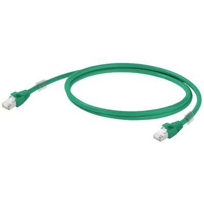 Un câble Ethernet vert avec deux connecteurs RJ45 à ses extrémités, utilisé pour la connexion réseau.