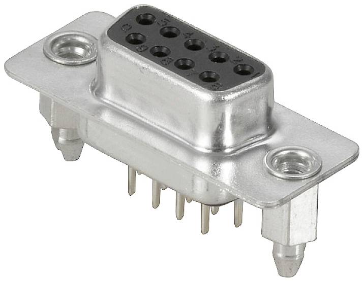 Un connecteur D-Sub argenté à neuf broches et deux trous de fixation, adapté pour les connexions électriques.