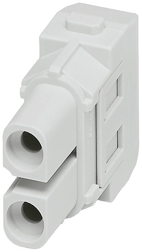 Un connecteur rectangulaire gris en plastique avec deux bornes rondes. Idéal pour les connexions électriques.