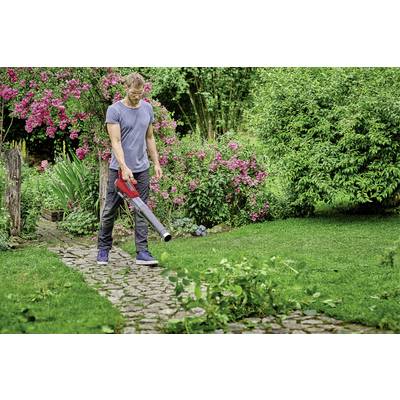 Une personne utilise un souffleur de feuilles sur un chemin pavé pour enlever les feuilles dans le jardin. En arrière-plan, des arbustes en fleurs.
