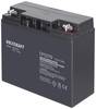 VOLTCRAFT CE12V/17Ah VC-12713975 Batterie au plomb 12 V 17 Ah plomb (AGM) (l x H x P) 181 x 167 x 77 mm raccord à vis M5 sans entretien