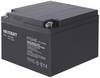 VOLTCRAFT CE12V/24Ah VC-12713980 Batterie au plomb 12 V 24 Ah plomb (AGM) (l x H x P) 166 x 125 x 175 mm raccord à vis M5 sans entretien