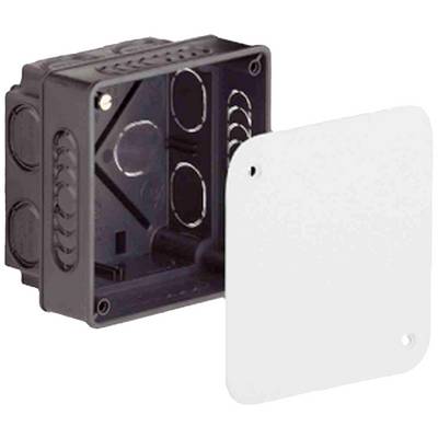 Boîte de distribution en plastique noir avec son couvercle blanc retiré, montrant les trous et les ouvertures pour les connexions de câbles.