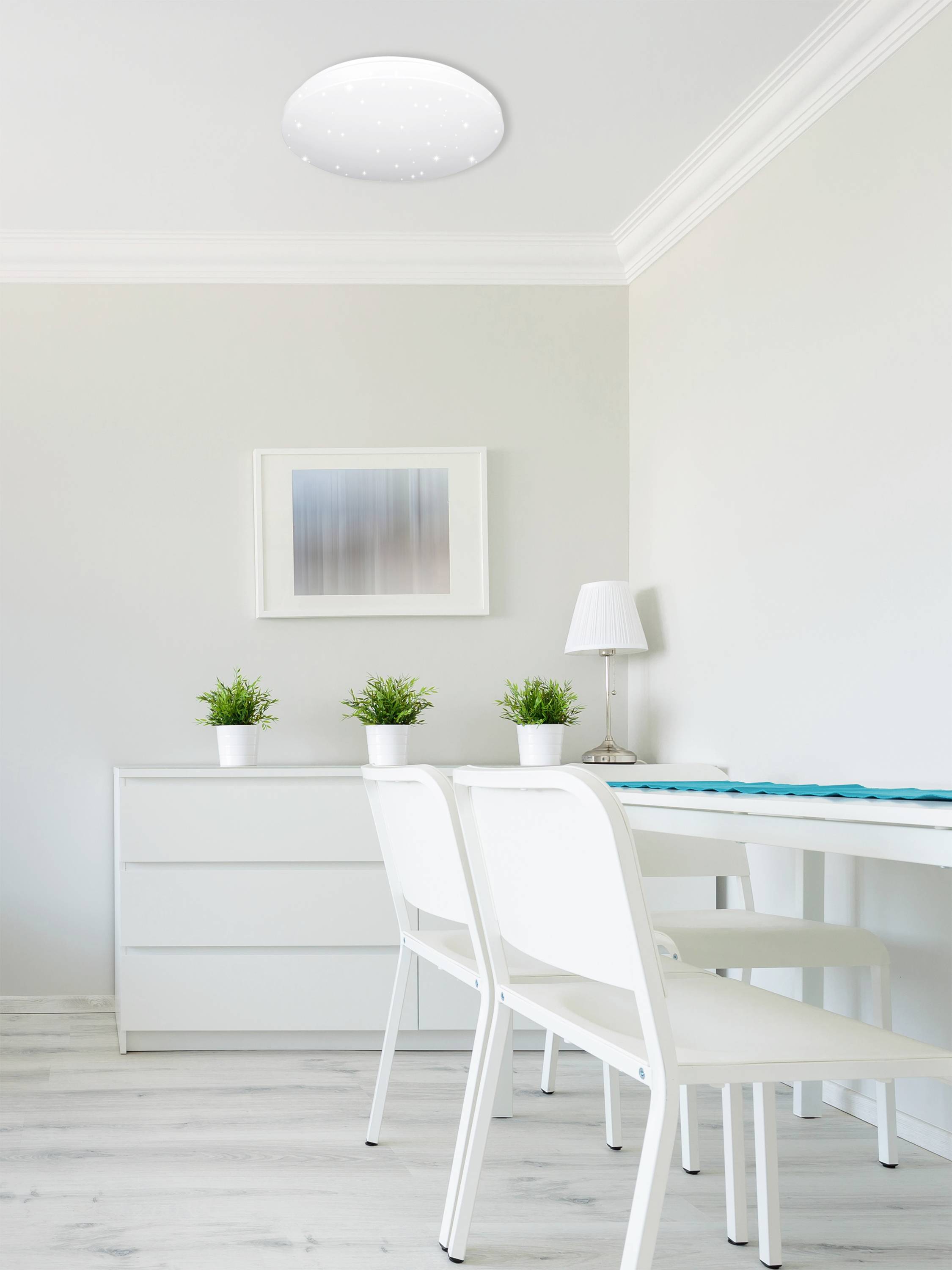 Espace lumineux, aménagé de manière minimaliste avec des meubles blancs, des plantes disposées sur un placard et une table, et un luminaire rond au plafond.