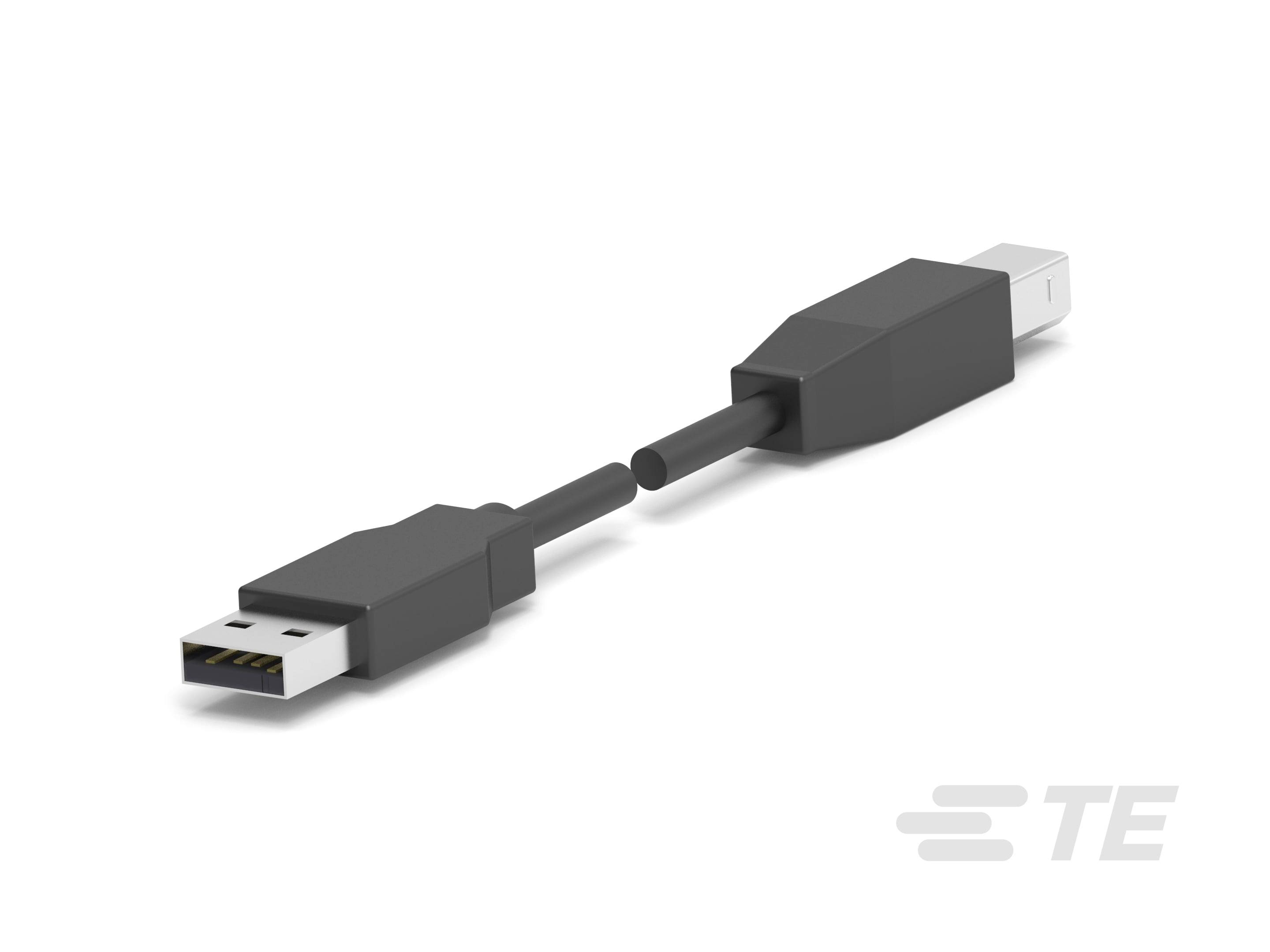 'Deux fiches USB noires, une USB standard et une Mini-USB, côte à côte sur un fond blanc.'