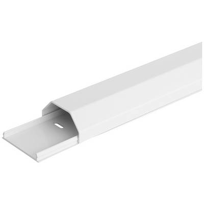 Un conduit de câbles blanc, de forme oblongue, ouvert, révèle son intérieur destiné au guidage des câbles. Adapté pour une organisation des câbles propre et sécurisée.