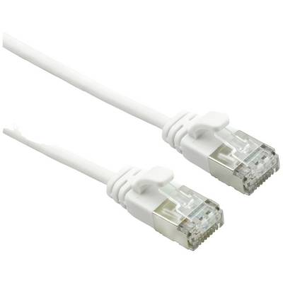 Un câble Ethernet blanc avec deux connecteurs RJ-45.