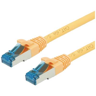 Deux câbles Ethernet orange avec des connecteurs bleus pour les connexions réseau.