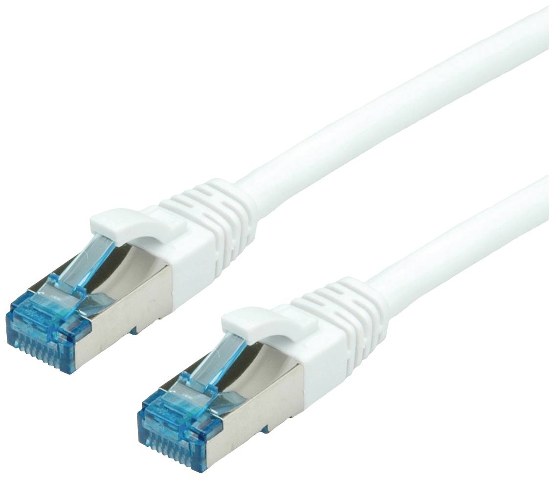 Un câble Ethernet blanc avec deux connecteurs bleus, adapté aux connexions réseau.