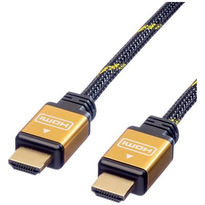 Câble HDMI noir et or avec deux fiches marquées 'HDMI'.