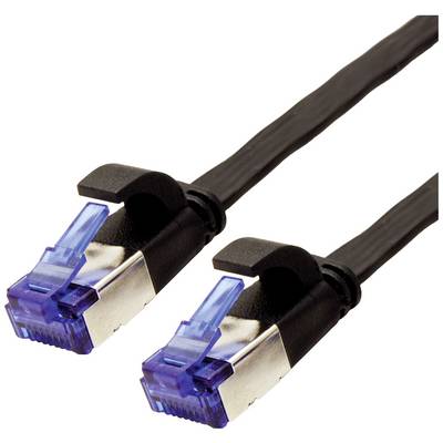 Deux câbles Ethernet noirs avec des connecteurs bleus, adaptés à la transmission de données dans les réseaux.