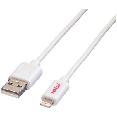 Un câble USB blanc avec une fiche USB-A sur le côté gauche et une fiche Lightning sur le côté droit.