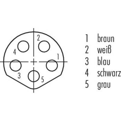 Schéma de connecteur à cinq broches, numérotées. Affectation : 1 marron, 2 blanc, 3 bleu, 4 noir, 5 gris.