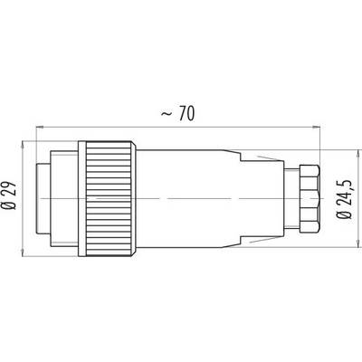 Dessin technique d'une fiche cylindrique d'un diamètre de 29 mm, longueur d'environ 70 mm et dimensions détaillées de 24,5 mm.