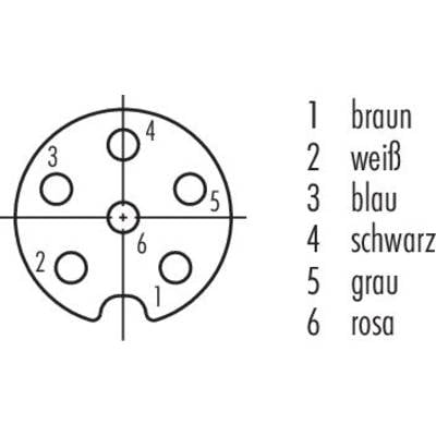 'Diagramme d'un connecteur avec six broches. Numérotation et attribution des couleurs : 1. marron, 2. blanc, 3. bleu, 4. noir, 5. gris, 6. rose.'