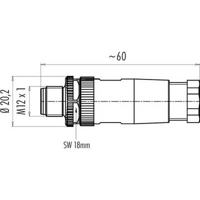 Dessin technique d'un connecteur, longueur d'environ 60 mm. Filetage M12 x 1, diamètre extérieur 20,2 mm, largeur de clé 18 mm.