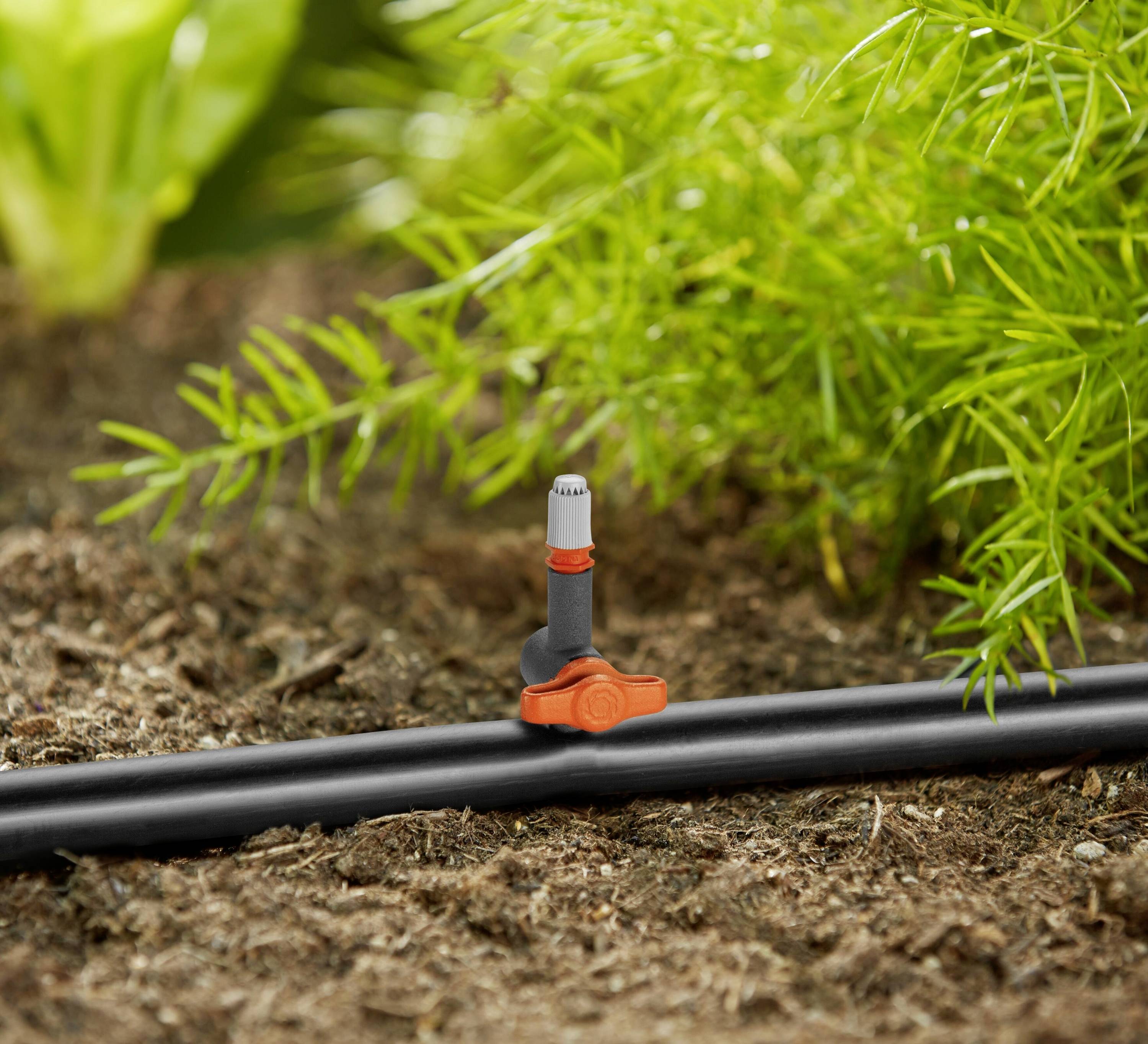 Un système d'irrigation avec un tuyau noir et un goutte-à-goutte orange dans le sol du jardin, entouré de plantes et de verdure fraîche.