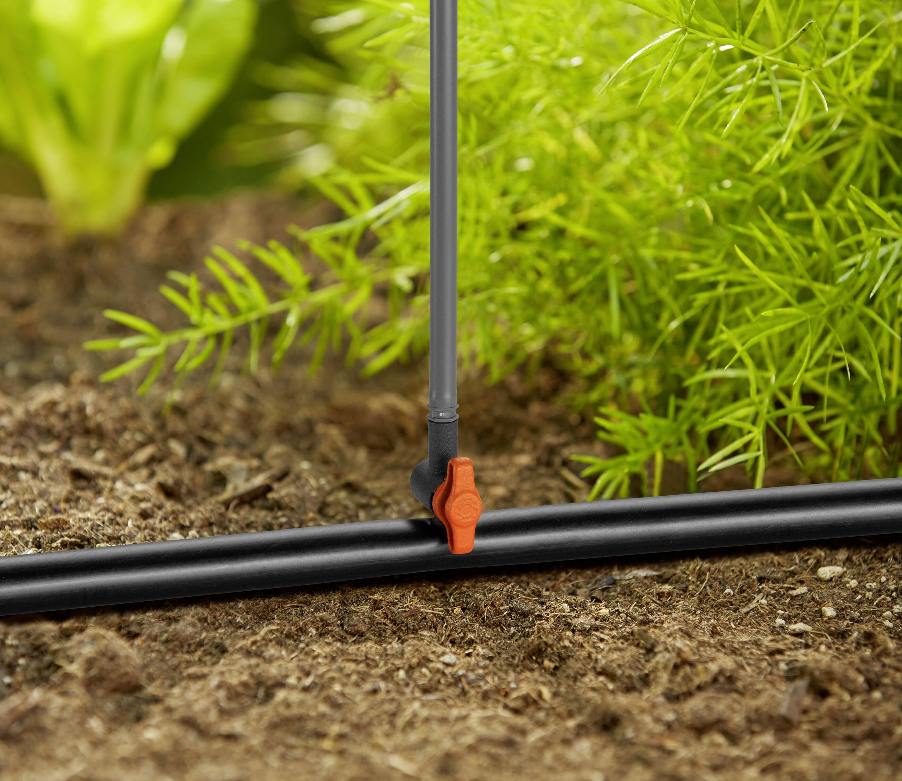 Un système d'irrigation dans un jardin avec des vannes et des tuyaux ; entouré de terre et de plantes, le système arrose de manière ciblée.