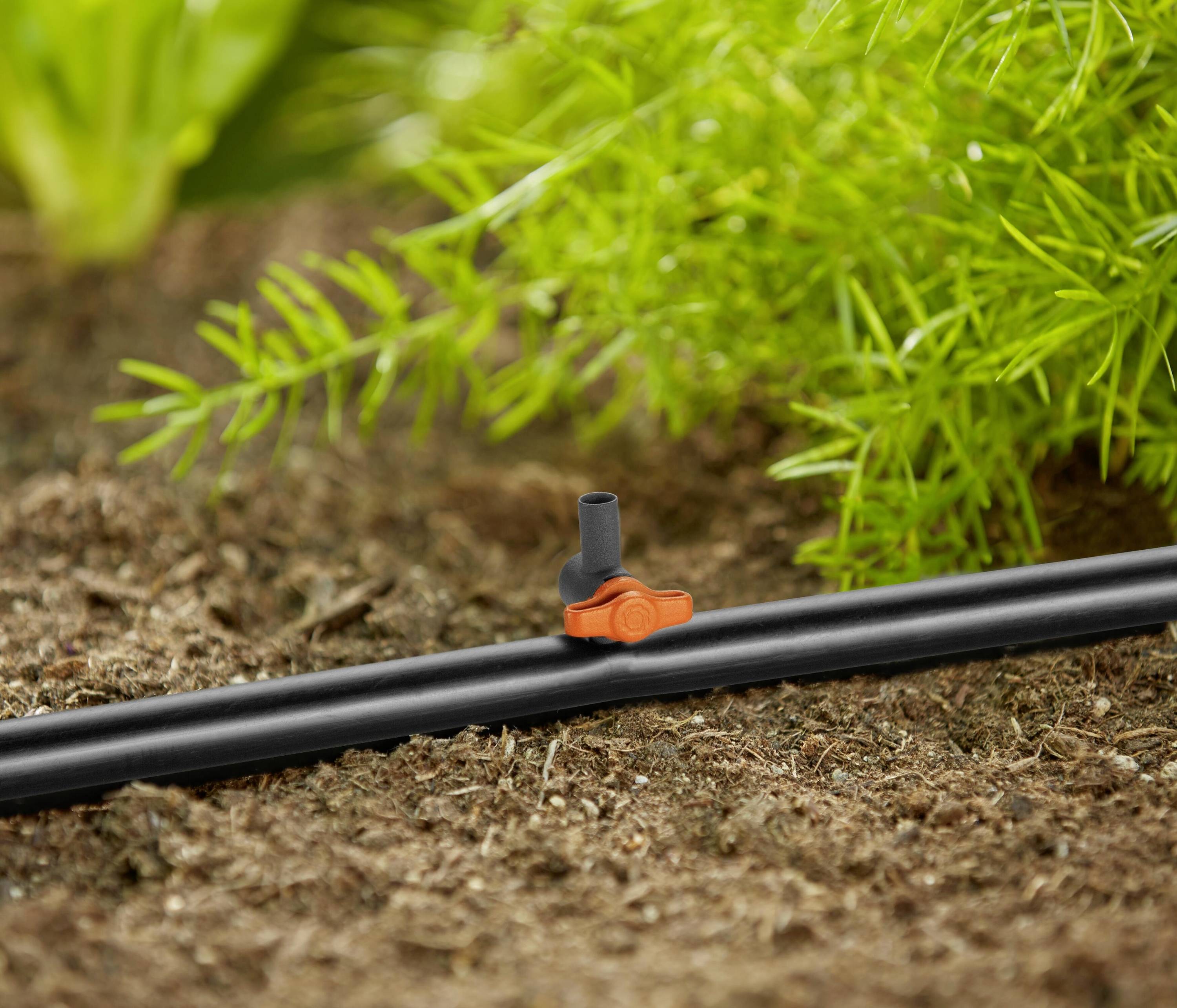 Un tuyau noir avec une petite valve orange est posé sur la terre, entouré de feuillage vert, probablement dans un jardin.