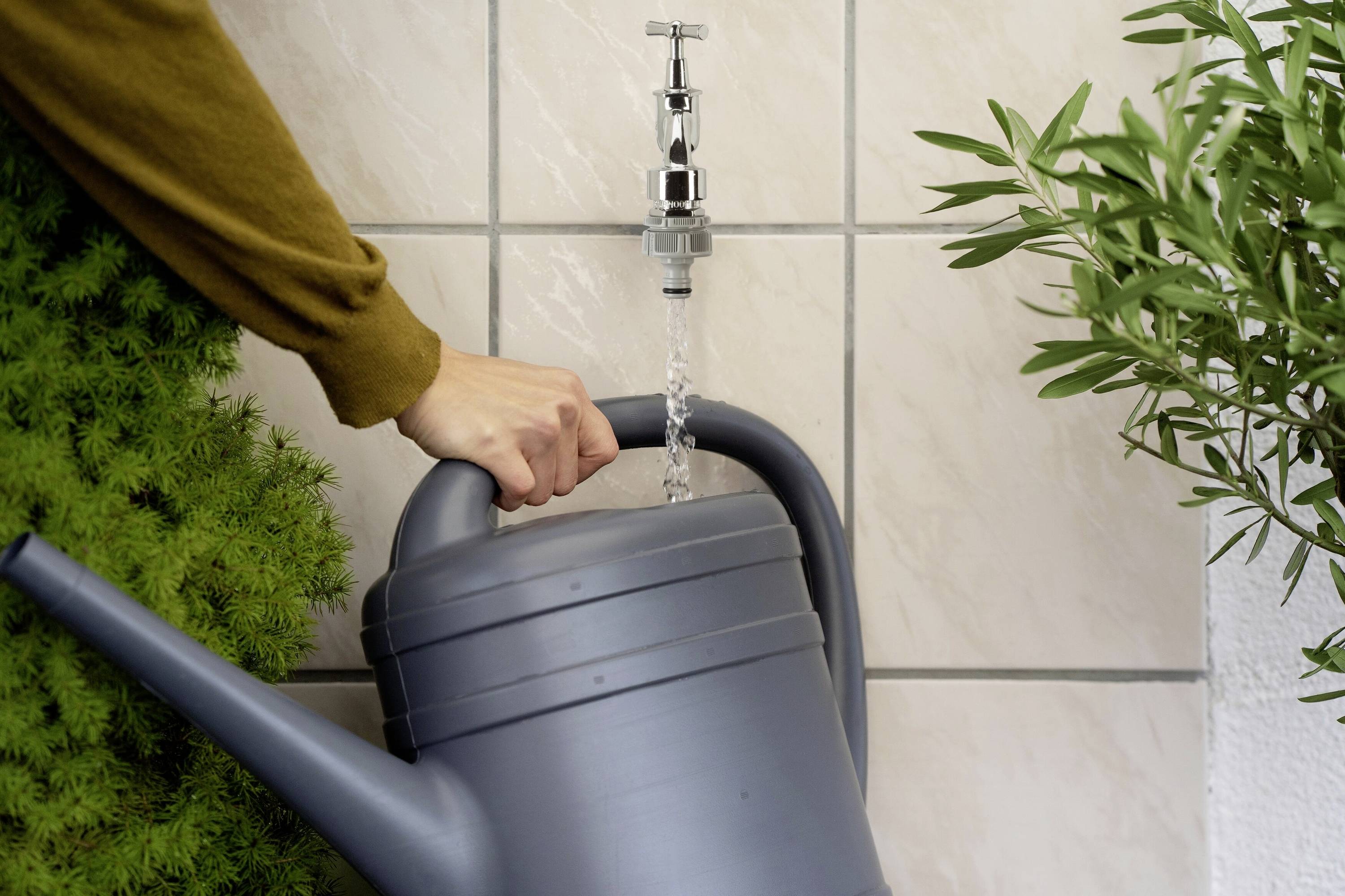 Une personne remplit un arrosoir gris avec de l'eau provenant d'un robinet argenté. Des plantes vertes sont visibles en arrière-plan.